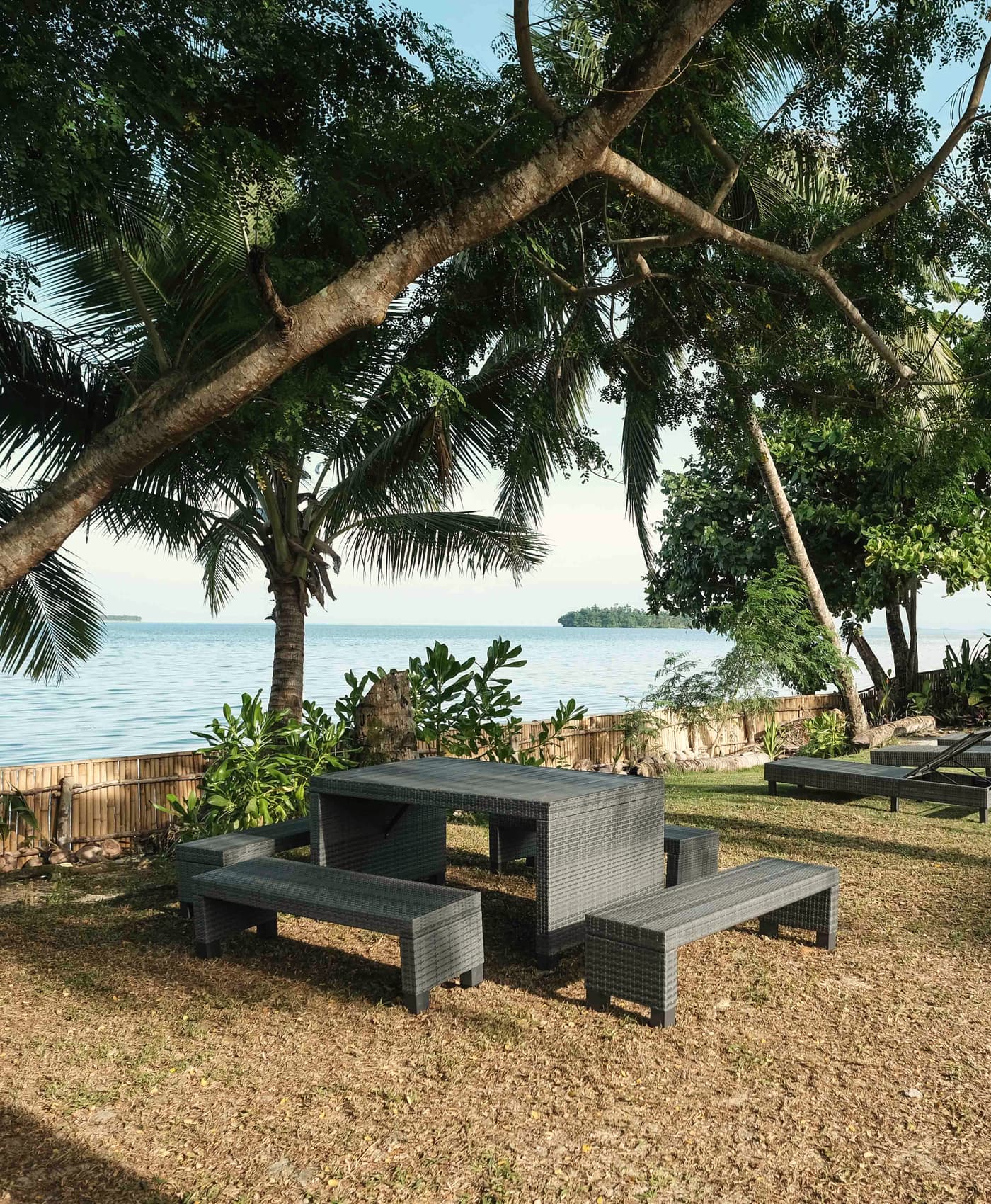 Outdoor table and benches on a lawn under leaning palm trees at the water's edge, with sun loungers and the sea behind.