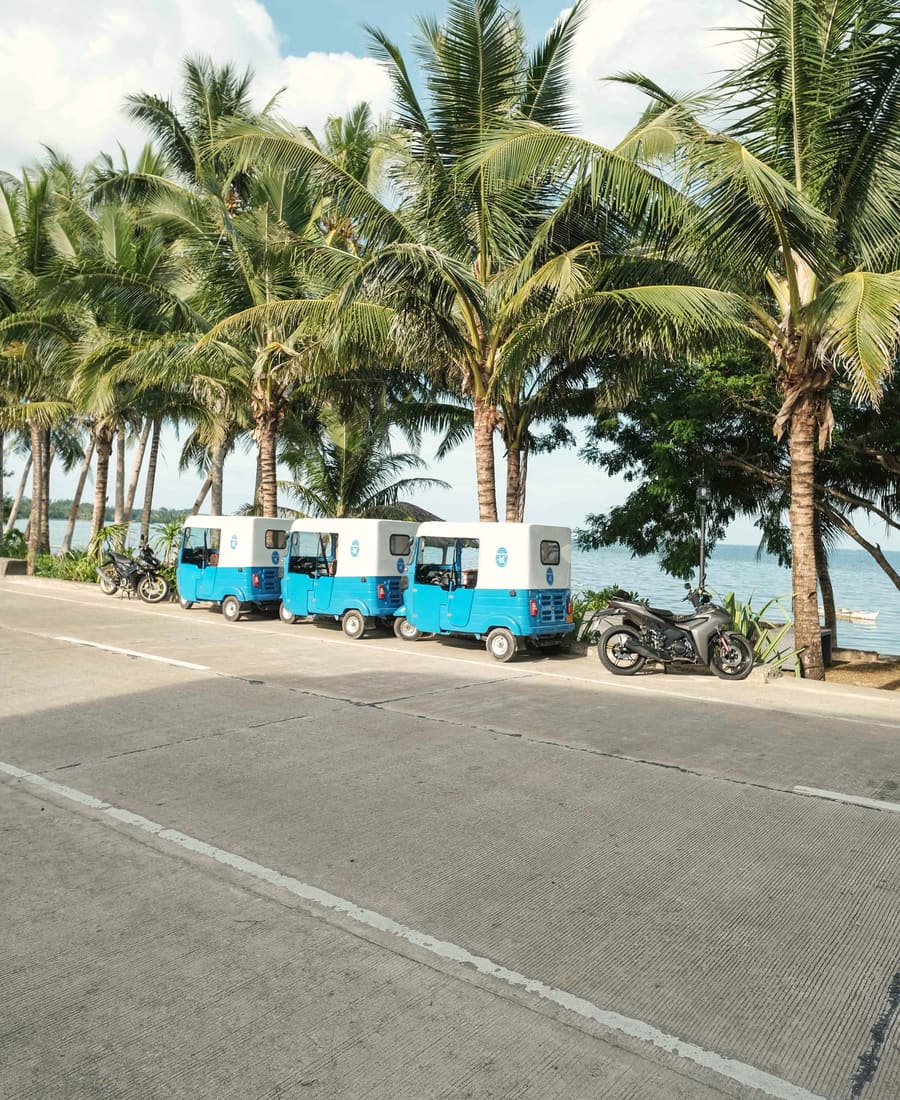 Three blue-and-white tricycles and a motorbike parked on a seaside road lined with coconut palms.