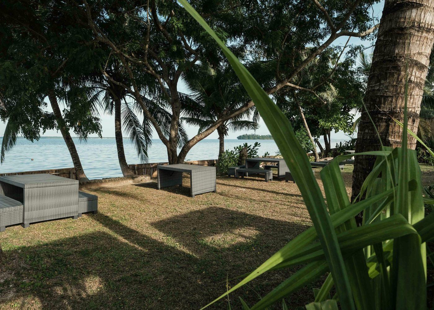 Picnic tables spread across a shaded lawn at the water’s edge, under palms and leaning trees, with the sea and a distant island behind.