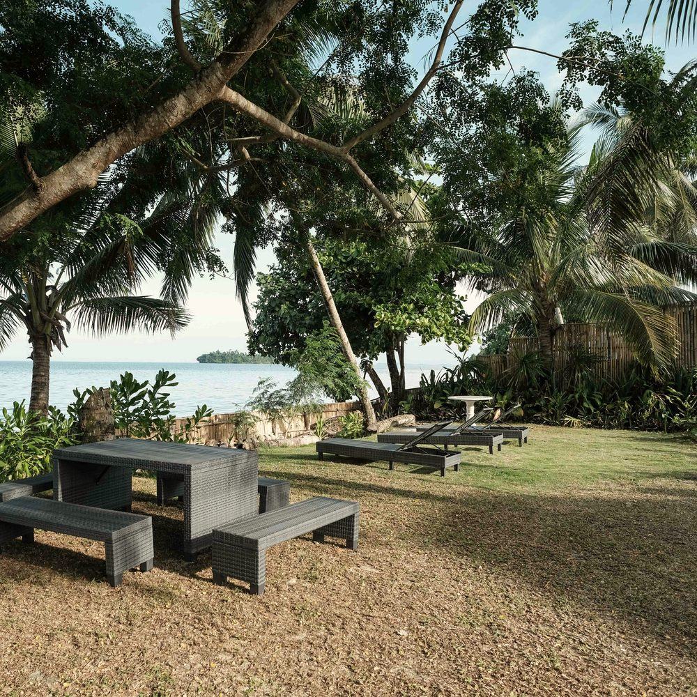 Grey picnic tables and benches on a sunny lawn by the sea, shaded by coconut palms and leaning trees.