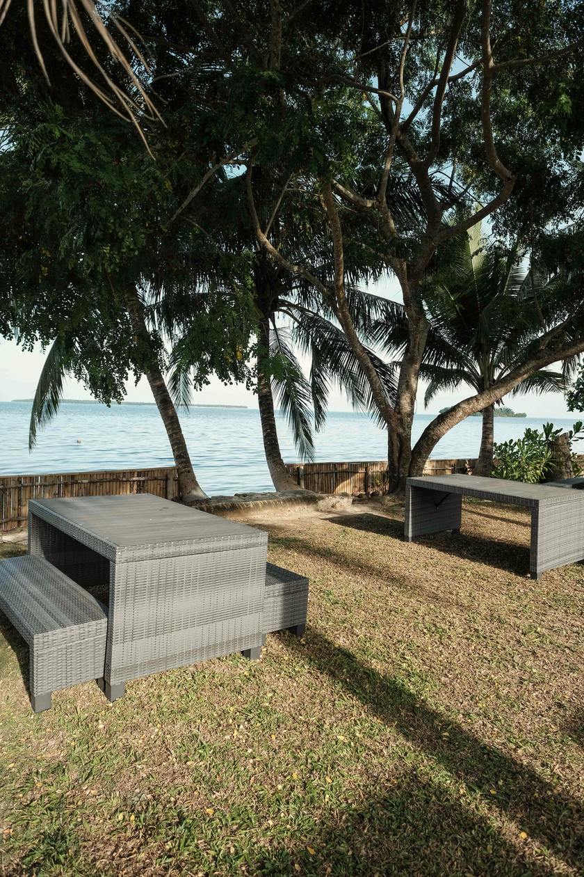 Grey outdoor dining table and benches on a lawn under leaning palm trees, with the sea and a low wall behind.